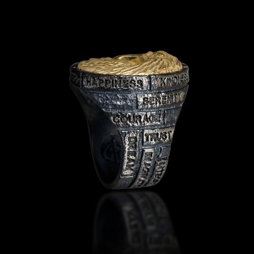 Capitan "The Bricks of Life" Ring