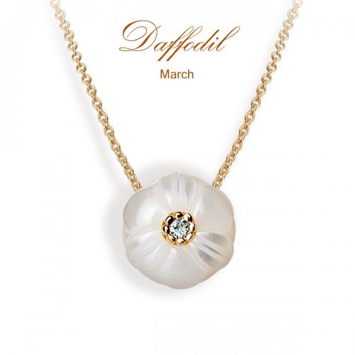 Daffodil Pearl flower